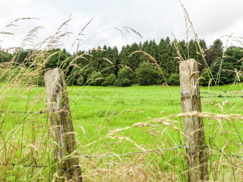 a fence in a field with grass and trees at Peaceful Nature Stay in Bohon in Barvaux