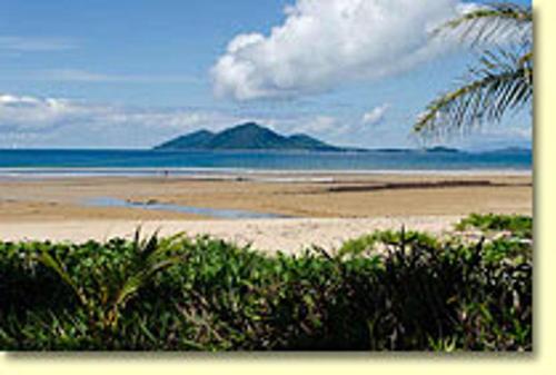 a beach with a palm tree and the ocean at Bluefin House beachfront access in Mission Beach