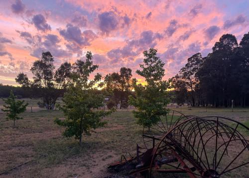 a sunset in a field with a roller coaster at Gum Tree Hideaway by Tiny Away in Stoneville
