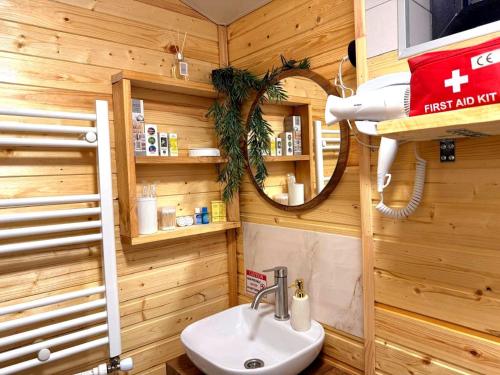 a bathroom with a sink and a mirror at Green Owl in Dedoplis Tskaro