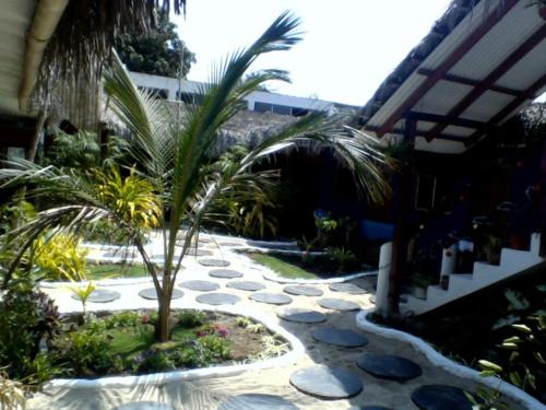a garden with a palm tree and a stone walkway at Hostal Surf Olón in Olón