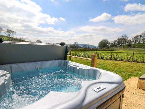a hot tub with water in a backyard at Kingfisher - Ukc8198 in Dolau