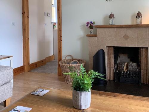 a living room with a fireplace and a plant on a table at Ploughmans Cottage-Uk7346 in Dyke