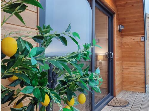 a house with a lemon tree in front of a door at Ben Rinnes - Ukc6028 in Newmill