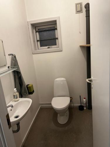 a bathroom with a white toilet and a sink at Whaletours Center Apartment in Ilulissat