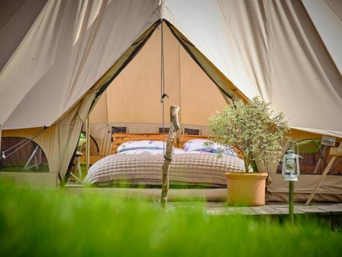 a bed in a tent with a tree in it at Buttercup- Ukc4938 in West Anstey
