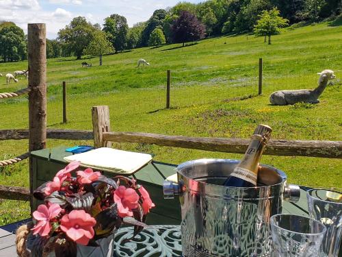 a table with a bottle of wine and a field of sheep at Dorset Alpaca Shepherd's Hut in Dorchester