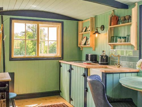 a kitchen with green walls and a window at Dorset Alpaca Shepherd's Hut in Dorchester