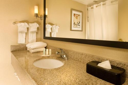 a bathroom with a sink and a mirror at Comfort Suites Dulles Airport in Chantilly