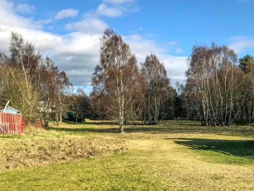 a field with trees and a dirt road at Larrach Beag-Ukc5059 in Aviemore