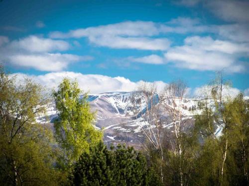 a snow covered mountain with trees in the foreground at Golden Eagle-Ukc5057 in Aviemore