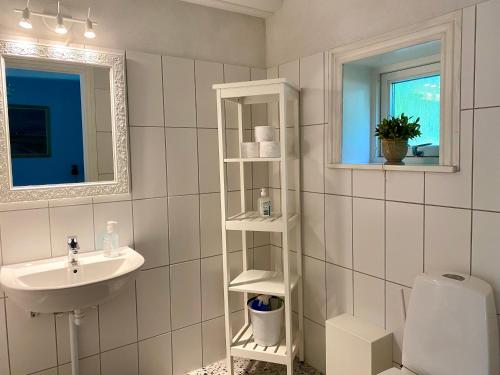 a bathroom with a sink and a toilet and a mirror at Tiendegaarden Møns Klint in Borre