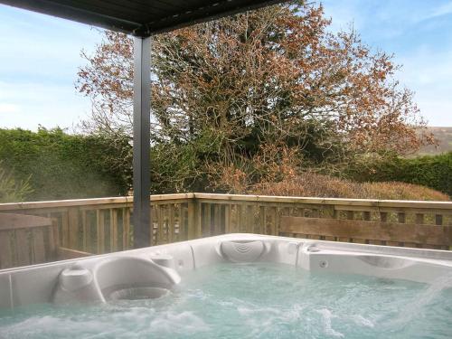 a jacuzziificialificialificialificialificialificialificialificialificialificialificial at Bevan House in Llansaintfraed in Elvel