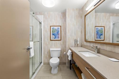 a bathroom with a toilet and a sink and a mirror at Hampton Inn Carrollton in Carrollton