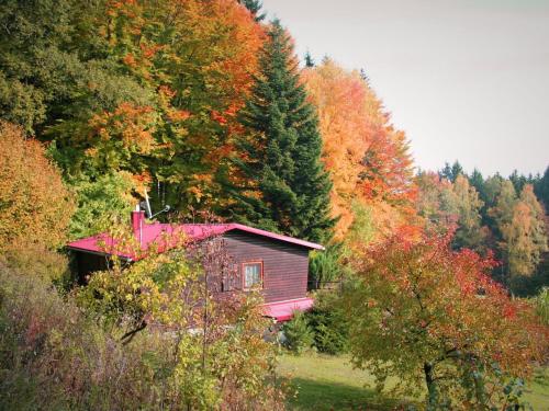 eine Hütte inmitten eines Waldes von Bäumen in der Unterkunft Holiday home with terrace in Stadlern