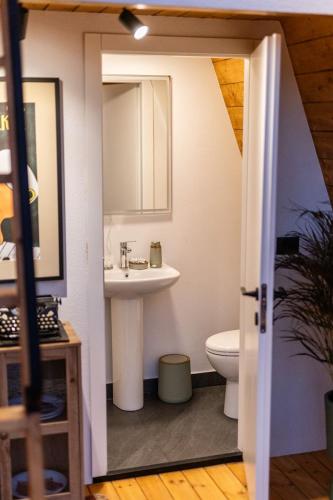 a bathroom with a sink and a toilet at Funky Cabins Villas and Chalets - Gaia Park in Tirana