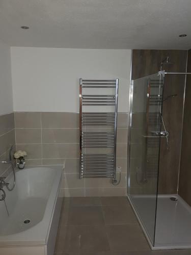 a bathroom with a shower and a tub and a sink at Cohannon Inn in Dungannon