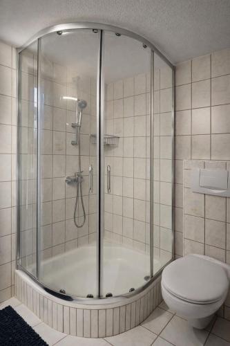 a bathroom with a shower and a toilet at SK Ferienapartments Kappelrodeck in Kappelrodeck