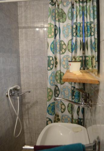 a bathroom with a shower curtain and a toilet at Cabin & Apartment Kopaonik in Kopaonik