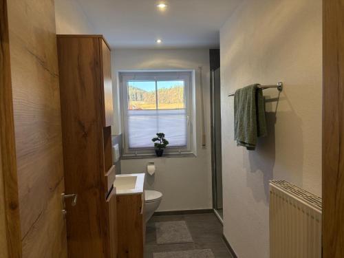 a bathroom with a toilet and a window at Ferienwohnung Zaglmann in Zandt