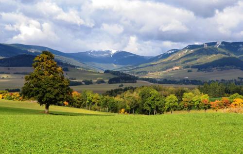 a tree in a field with mountains in the background at Chalupa pod Klepáčem in Králíky