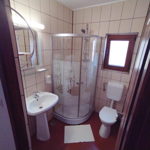 a bathroom with a shower and a sink and a toilet at Pensiunea Bocca Del Rio in Gura Râului