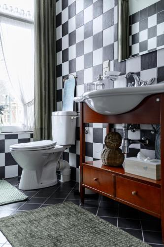 a bathroom with a toilet and a sink at Bed & Boterham Carpediem in Hamont