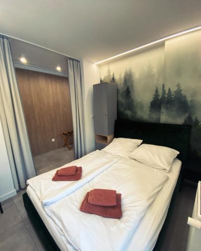 W Naturze - Apartament dla Aktywnych 15 z Balkonem i Widokiem na Góry, Szlaki, przy Stoku Dolina Szczęścia