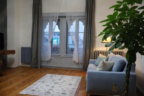 a living room with a blue couch and a window at Central old town escape in Timişoara