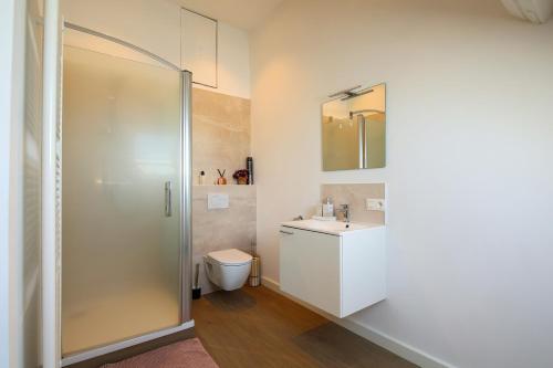 a bathroom with a shower and a toilet and a sink at Suite kaai 24 in Nieuwpoort