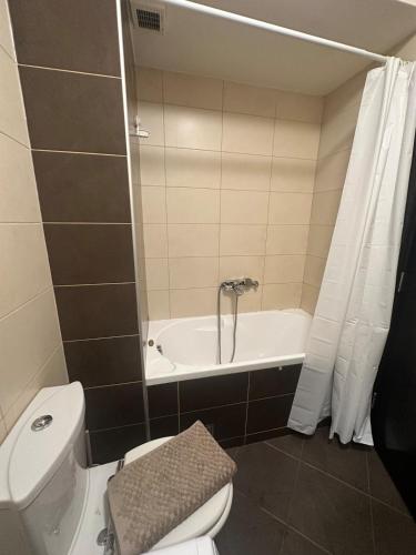 a bathroom with a toilet and a bath tub at Ada Corner in Belgrade