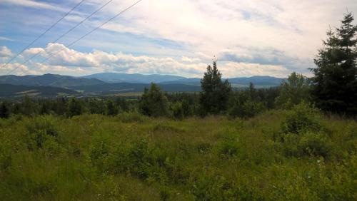 a field of grass with mountains in the background at Dušan in Štôla