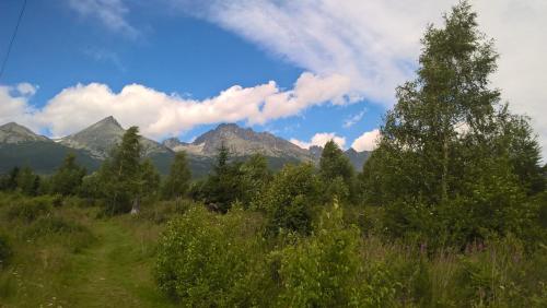 a field with trees and mountains in the background at Dušan in Štôla
