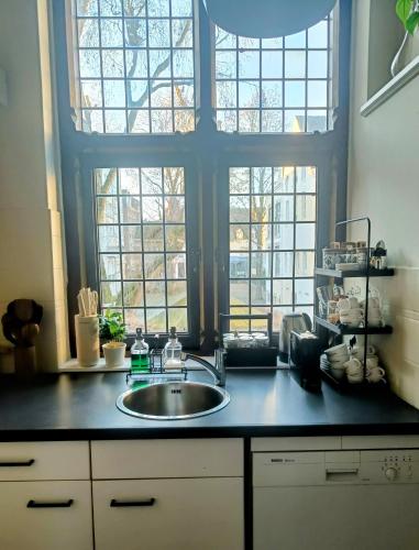 a kitchen counter with a sink and two windows at Boutique Apartment Perenne in Maastricht