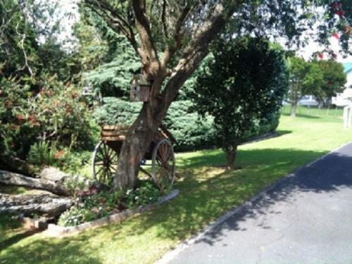 a bird house on a tree in a yard at Dargaville Motel in Dargaville