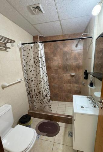 a bathroom with a shower and a toilet and a sink at Apart Hotel Belgrano in Perico