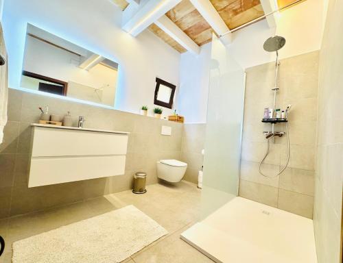 a bathroom with a shower and a toilet and a sink at Torre Picada Duplex in Port de Soller