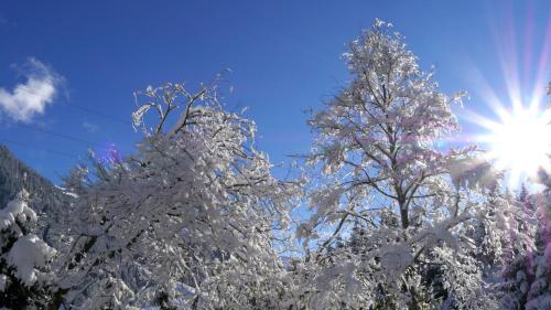 Afbeelding uit fotogalerij van Appartement Hollaus in Fügenberg