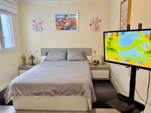 a bedroom with a bed and a flat screen tv at Las Alas in Avilés