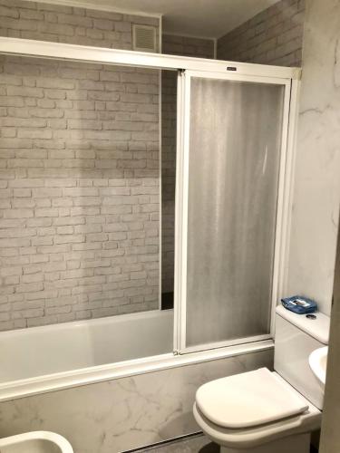 a bathroom with a shower with a toilet and a sink at Las Alas in Avilés