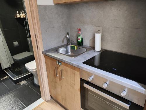 a small kitchen with a sink and a toilet at Ulysses Apartments Ermou in Athens