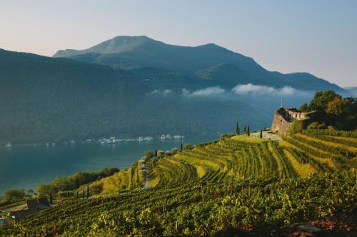 a vineyard with a castle on a hill next to a lake at Relais Castello di Morcote in Morcote