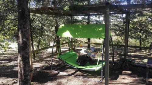 a green hammock in the shade of a tree at Villa Sant’Uberto Country Inn in Radda in Chianti