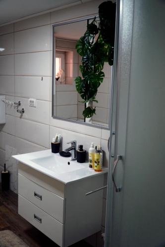 a bathroom with a white sink and a mirror at Picante apartment in Srbobran