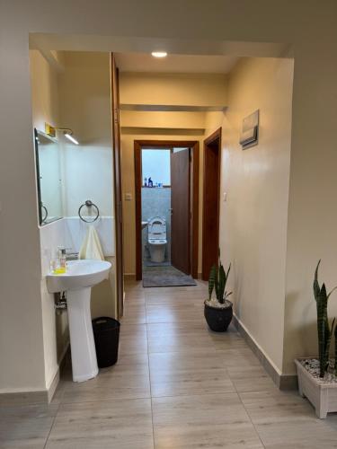 a bathroom with a sink and a toilet at Raha Home within Nakuru CBD with pool and gym in Nakuru