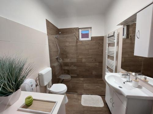 a bathroom with a toilet and a sink at Milán Apartment in Nyíregyháza