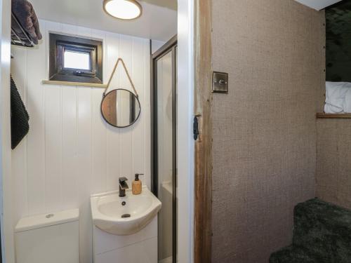 a bathroom with a sink and a mirror at GiGi's Horsebox in Evesham