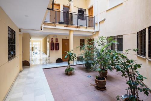 Stylish & Newly Renovated Retreat in Málaga Centre photo 20