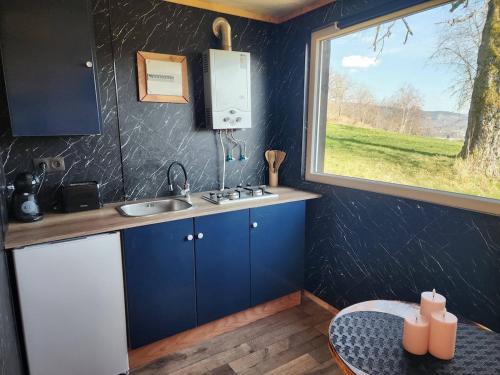 a small kitchen with a sink and a window at Le Nid Douillet du Tacot in Le Thillot