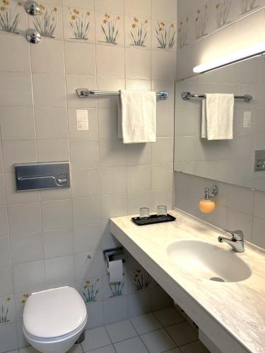 un bagno con lavandino, WC e specchio di Hotel Krieger Regensburg a Pettendorf